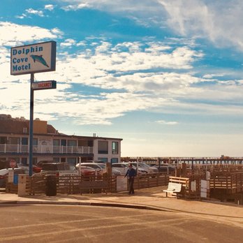 Dolphin Cove Motel 84 Photos 97 Reviews Hotels 170 Main St Pismo Beach Ca Phone Number Yelp Dolphin Cove Motel 84 Photos 97