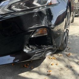Dented and scratched bumper