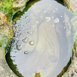 Thousand Steps Beach - 8/13/22 - Can you spot baby fishies? There were some in here.