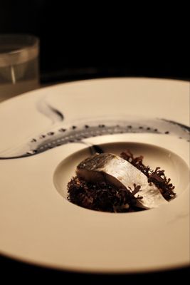 Nōksu by null Nōksu by null