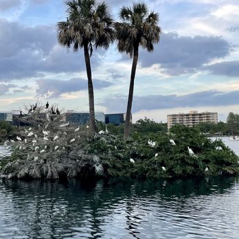 Lake Eola Park - Parks Near Me - Orlando, Florida