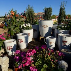 Our lot is full of beautiful product!