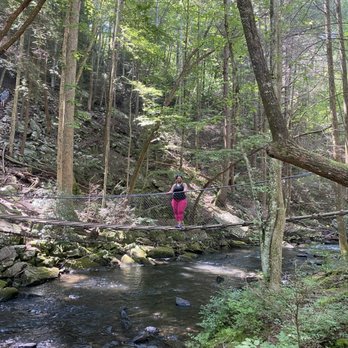 Experience Chattanooga - Tours Near Me