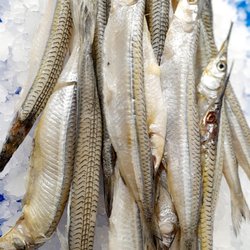 Tres islas seafood - Pajarito Fish