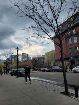 Newbury St by null