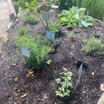 Biblical Garden at Rodef Shalom - Garden - Botanical Gardens Near Me - Pittsburgh, Pennsylvania Biblical Garden at Rodef Shalom - Garden - Botanical Gardens Near Me - Pittsburgh, Pennsylvania
