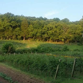 Claverach Farm - Farm - American Near Me - Eureka, Missouri