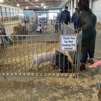 Kelsay Farms - Attraction Farms Near Me - Whiteland, Indiana Kelsay Farms - Attraction Farms Near Me - Whiteland, Indiana