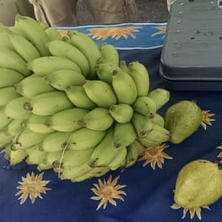 Farmer Fred - Bananas from their trees