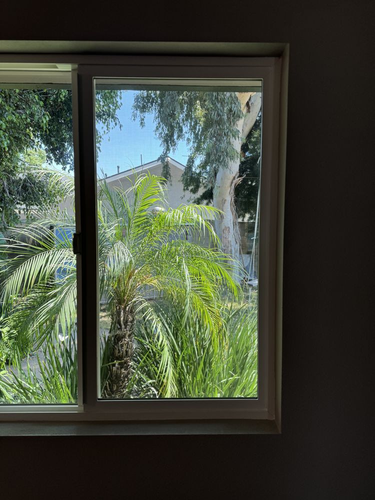 CALIFORNIA TINT CREW Updated September 2024 68 Photos 7251 Garden