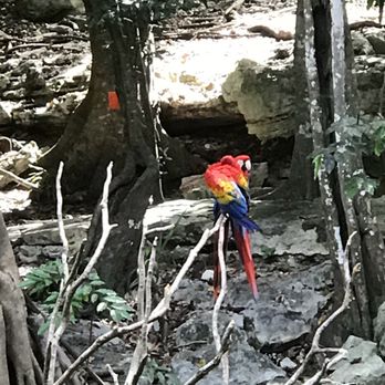 AVIARIO XAMAN HA - Updated August 2025 - 13 Photos - Av. Paseo Xaman Ha  S/N, Playa del Carmen, Quintana Roo, Mexico - Parks - Phone Number - Yelp