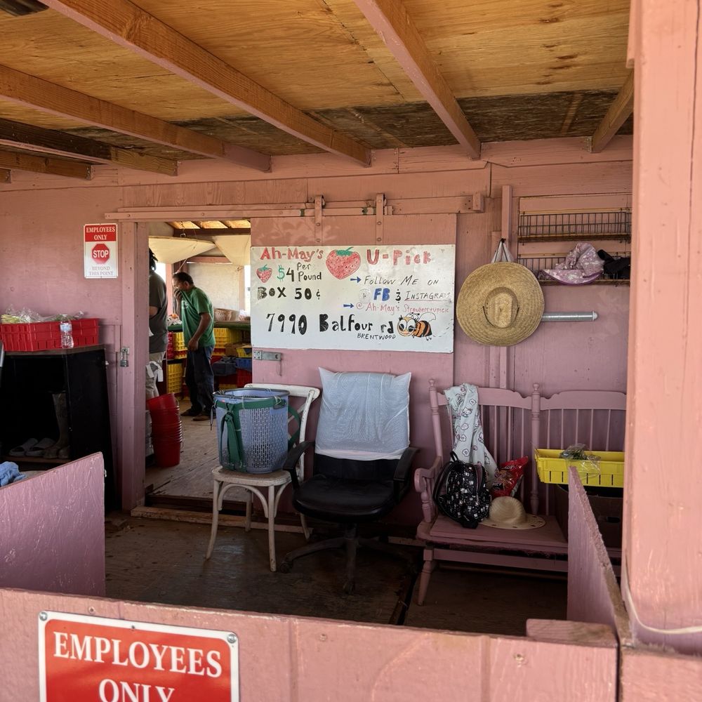 Ah-May U-Pick - Checkout area - Pick Your Own Farms Near Me - Brentwood, California Ah-May U-Pick - Checkout area - Pick Your Own Farms Near Me - Brentwood, California