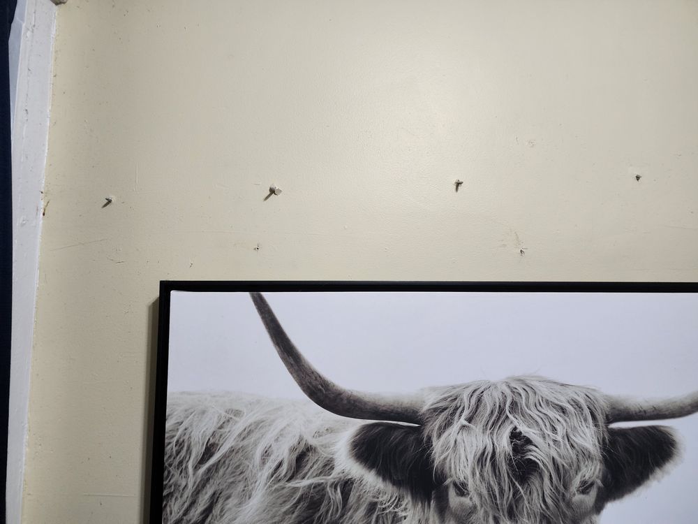 Slide of Wolfy's Roofing