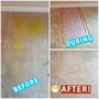 Photo of All Clean Carpet & Upholstery