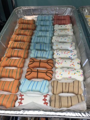 Salty Paws Doggy Ice Cream Bar And Bakery by null