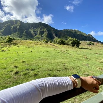 Kualoa Ranch - Ziplining done. The view from the bus back to the main entrance was gorgeous! - Tours Near Me - Kaneohe, Hawaii Kualoa Ranch - Ziplining done. The view from the bus back to the main entrance was gorgeous! - Tours Near Me - Kaneohe, Hawaii