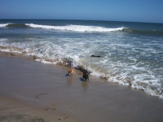 Broad Beach Rd by null