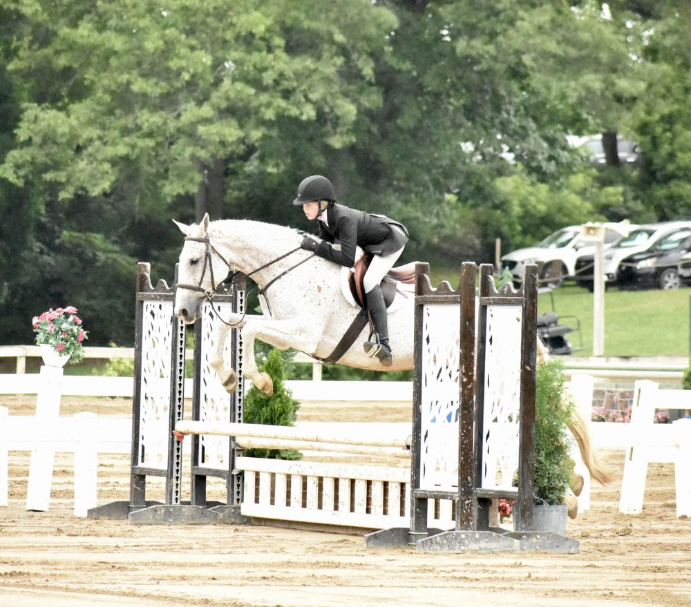 The Fox Den Farm - equestrian in Swartz Creek, MI