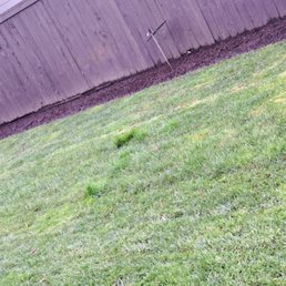 a green lawn and fence