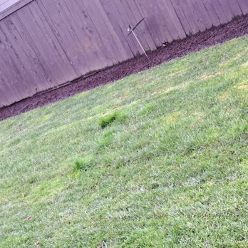 Boulder Falls Landscape - a green lawn and fence - Landscaping Near Me - Vancouver, Washington Boulder Falls Landscape - a green lawn and fence - Landscaping Near Me - Vancouver, Washington