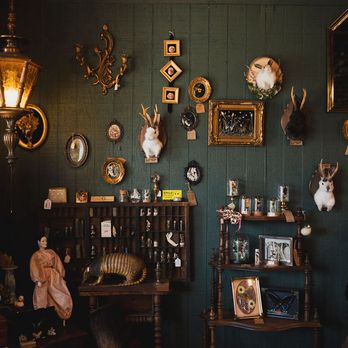 Beloved Bones - Thrift Stores Near Me - Oklahoma City, Oklahoma Beloved Bones - Thrift Stores Near Me - Oklahoma City, Oklahoma
