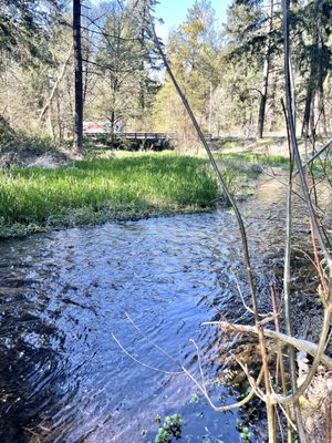 Photo of Bresemann Forest Park Trail - Spanaway, WA, US. April 2021