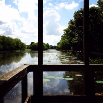 Brazos Bend State Park - Elm Lake Loop - Parks Near Me - Needville, Texas Brazos Bend State Park - Elm Lake Loop - Parks Near Me - Needville, Texas