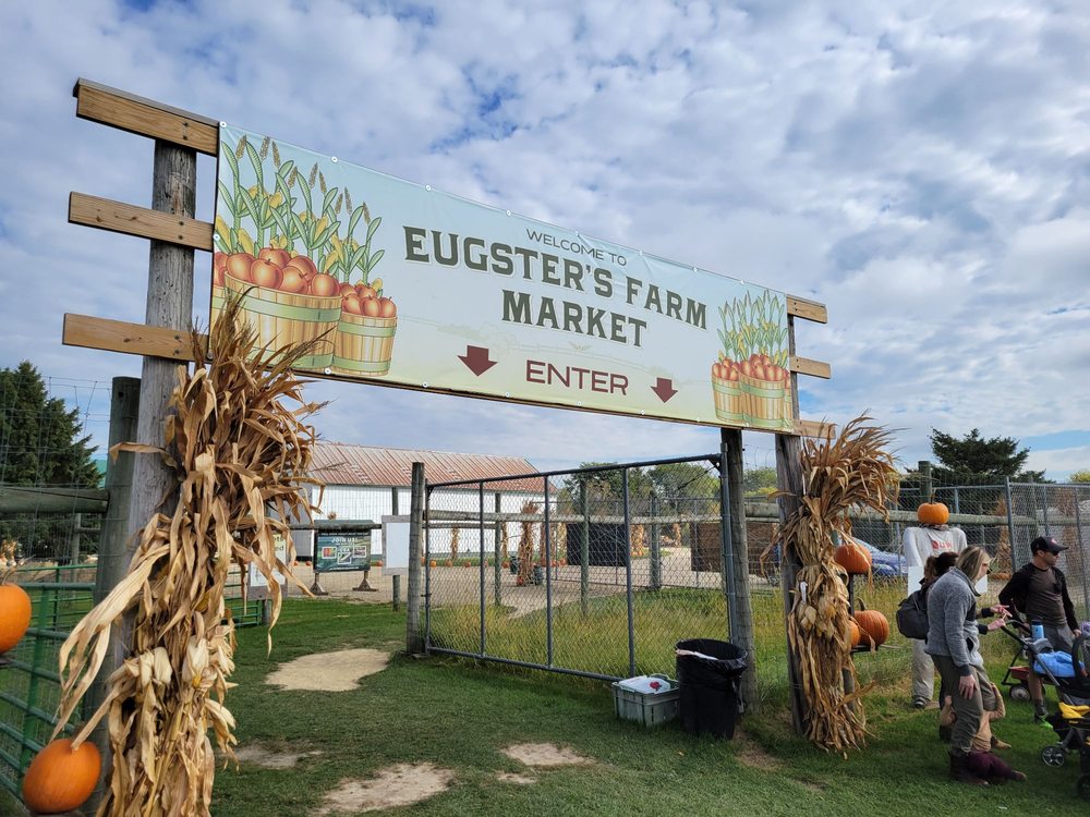 EUGSTER’S FARM MARKET Updated September 2024 73 Photos & 32 Reviews