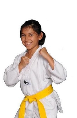 Masters Taekwondo Academy Logo