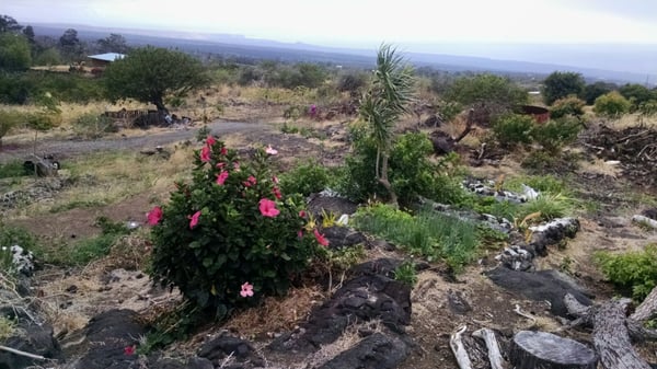 Ka Lae Garden Thai Food by null