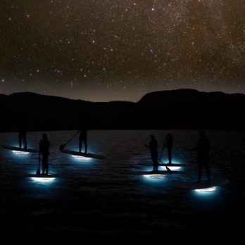 Wild SUP Tours - Paddleboarding Near Me - Dingle, Kentucky Wild SUP Tours - Paddleboarding Near Me - Dingle, Kentucky