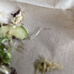 Salad