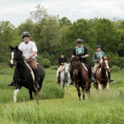Lord Stirling Park Riding Stable - RRR at Stirling for Rutgers pace