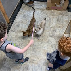 Hand Me Down Zoo