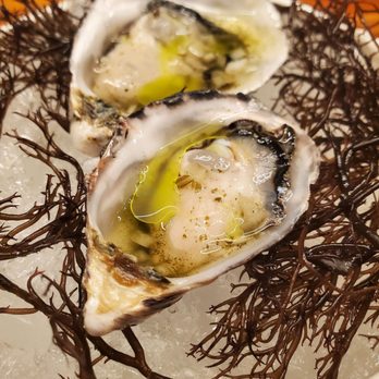 Miro Kaimuki - Kusshi oysters - Asian Fusion Near Me - Honolulu, Hawaii Miro Kaimuki - Kusshi oysters - Asian Fusion Near Me - Honolulu, Hawaii