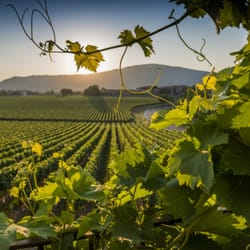 VenetoInside - A view of the Veneto hills