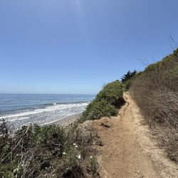Goleta Butterfly Grove - Access to beach