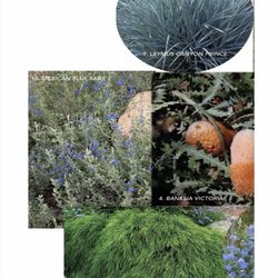 Hoes and Ditches - Design