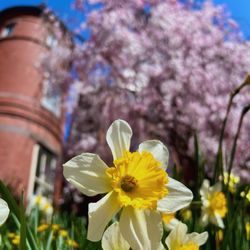 Tudor Place Historic House & Garden