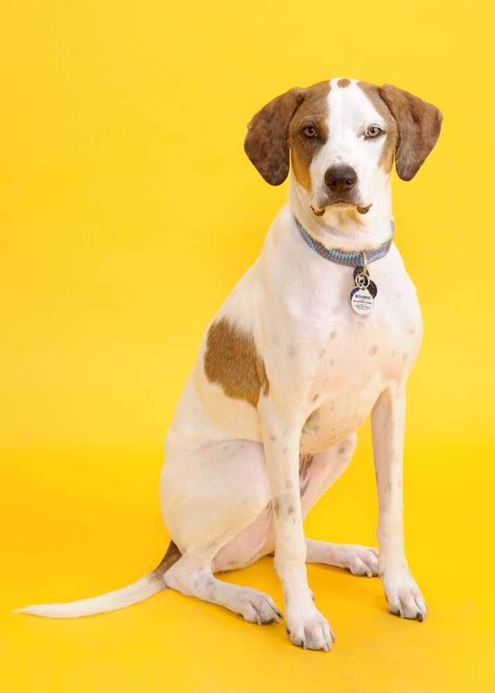 Ears Animal Rescue Sanctuary Image