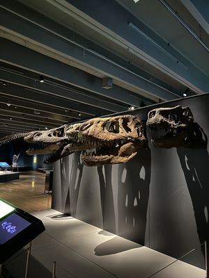 Grand Rapids Public Museum by null