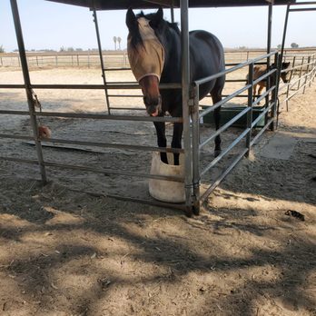 Rhinestone Stables - Horse Boarding Near Me - Stevinson, California