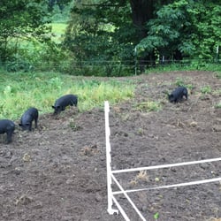 Baldham Farm