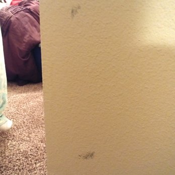 Top Notch Movers - Bedroom wall paint scratched and marked - Movers Near Me - Madison, Wisconsin