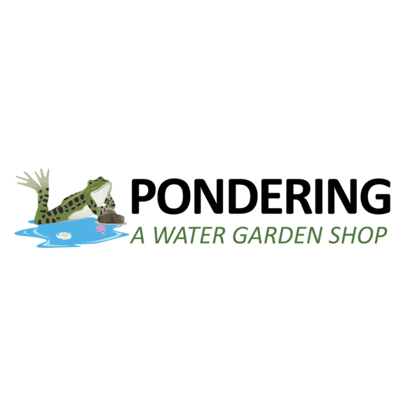 PONDERING, A WATER GARDEN SHOP Updated October 2024 21 Grant Ave