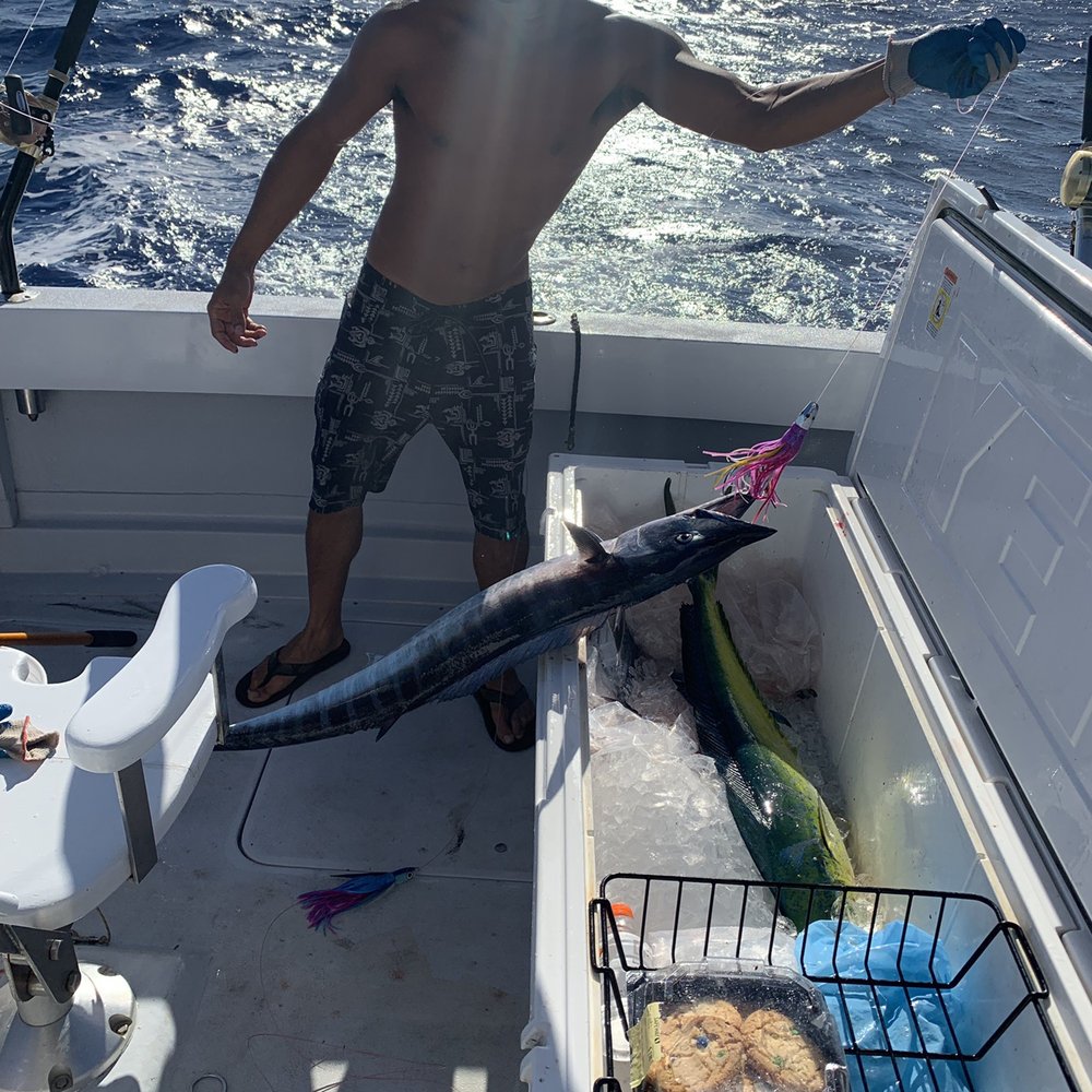 Nemesis Sportfishing - Fresh Ono! - Fishing Near Me Nemesis Sportfishing - Fresh Ono! - Fishing Near Me