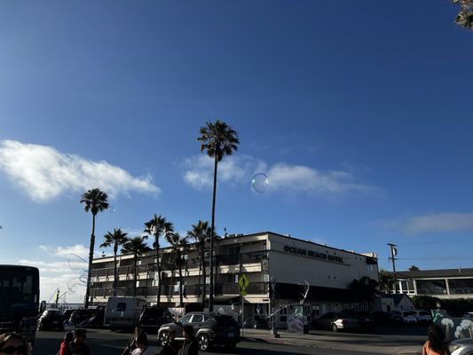 Ocean Beach Hotel by null
