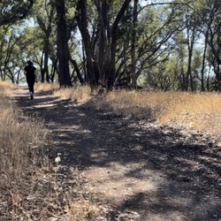 Robie Point Trail - Robie Point trail