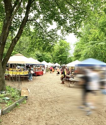 Mower's Saturday Sunday Flea Market by null