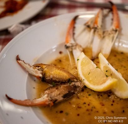 D'Amico's Italian Market Cafe by null